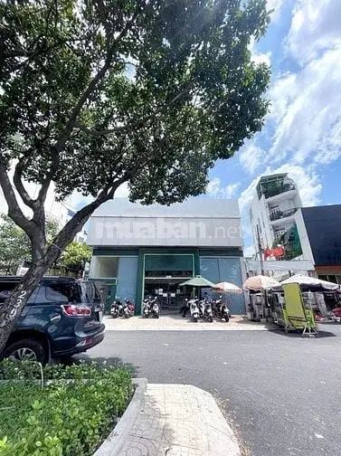 6018629 ảnh đại diện 1