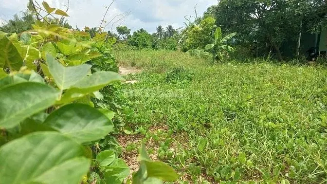 Vị Trí Cực Đẹp, Thỏa Mãn Mọi Nhu Cầu _ Không Gian Sống Lí Tưởng Tại Tp