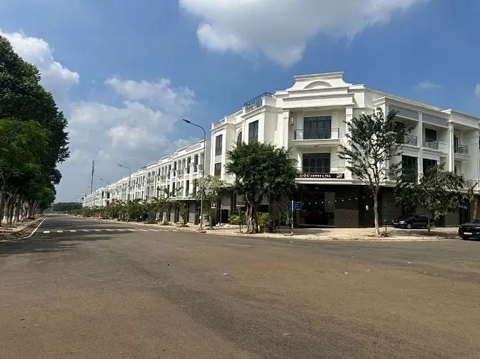 6018079 ảnh đại diện 1