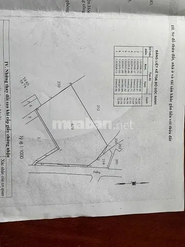 Bán 3527 M2 Giá 100 Tỷ Đất Giáo Dục Mặt Tiền Đường Trịnh Thị Miếng