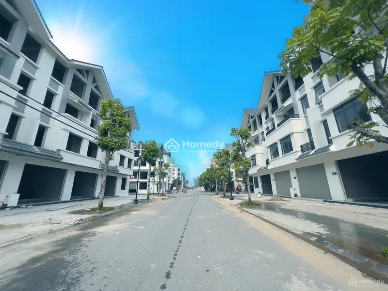 6018313 ảnh đại diện 1