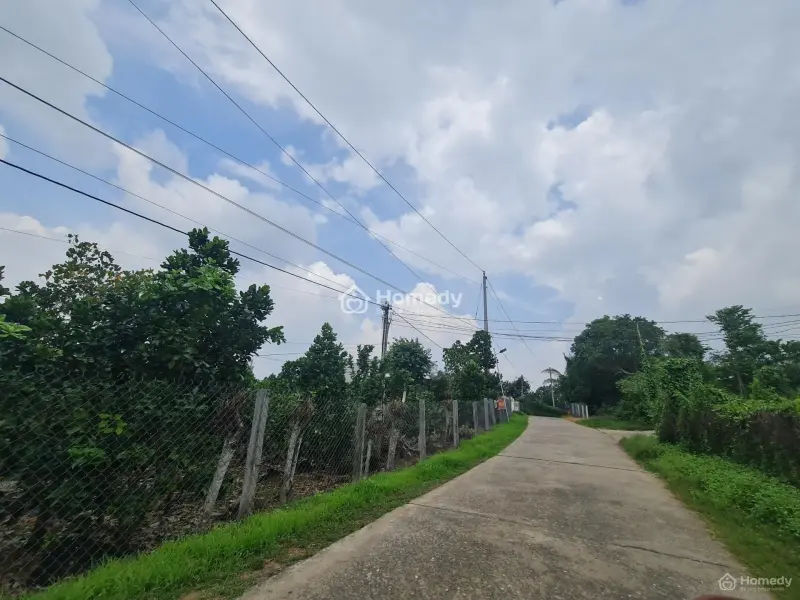 6018371 ảnh đại diện 1