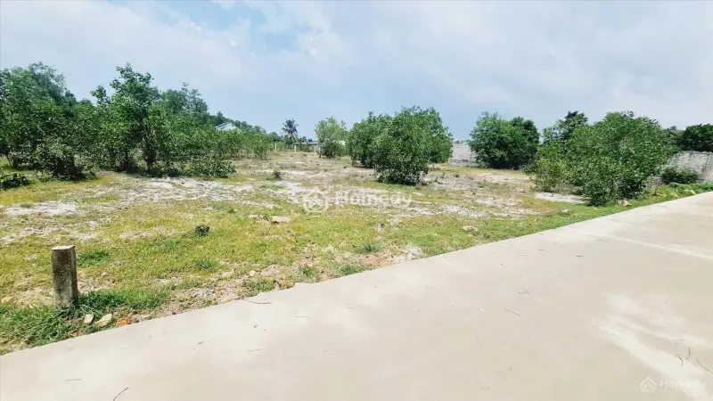 Bán 20M X 44M Đất Thổ Cư Hẻm Trần Quang Diệu, Lagi Giá Rẻ Gàn De Lagi