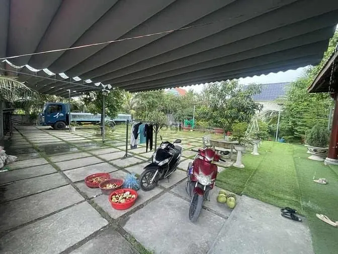 6018670 ảnh đại diện 1