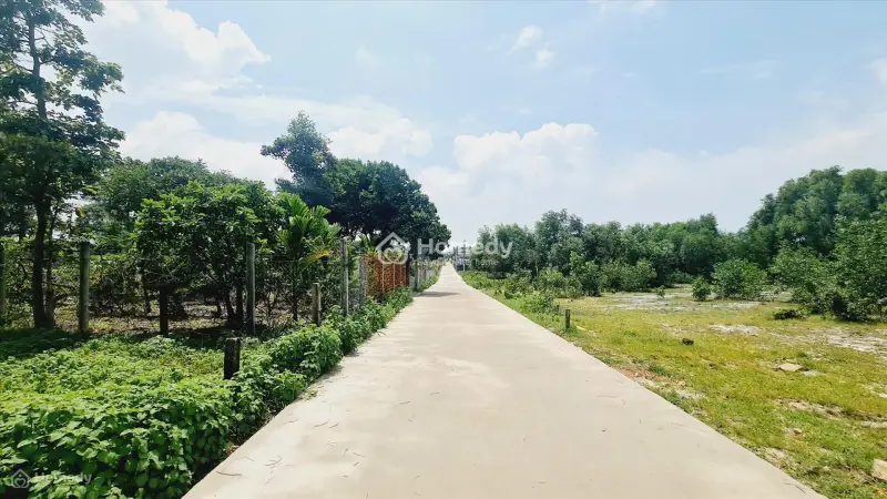 Bán 20M X 44M Đất Thổ Cư Hẻm Trần Quang Diệu, Lagi Giá Rẻ Gàn De Lagi