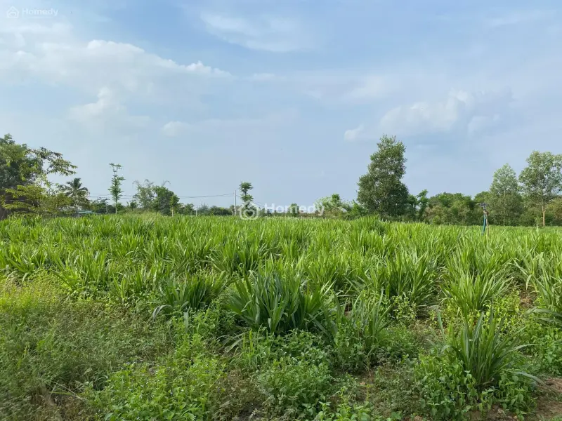Bán 2600M2 Đất Giá Rẻ Phú Thịnh - Huyện Tân Phú Đường Xe Hơi