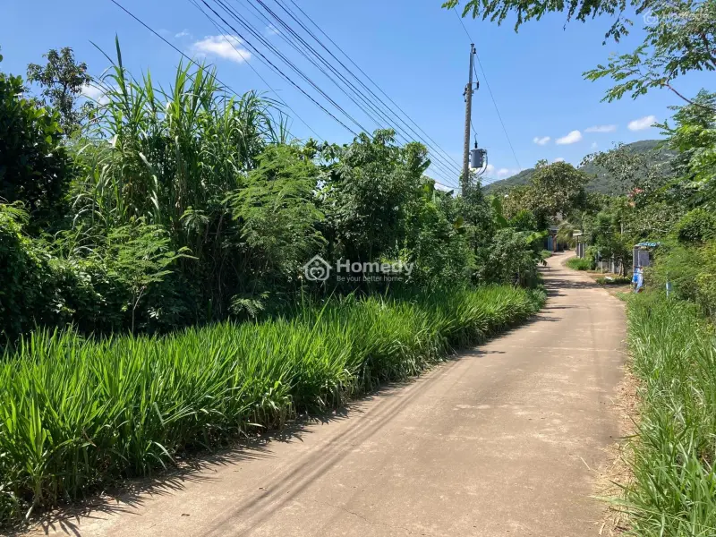 Bán 1.1 Ha Đất Ont Phú Thịnh - Huyện Tân Phú Chính Chủ+ Tặng Vườn Sầu Riêng