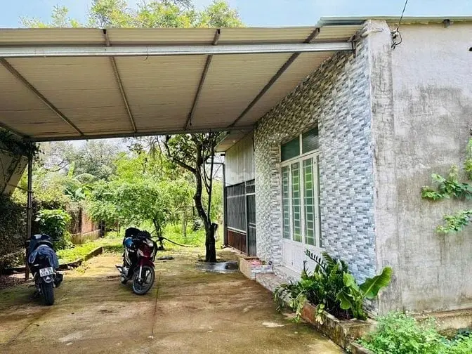 6018199 ảnh đại diện 1
