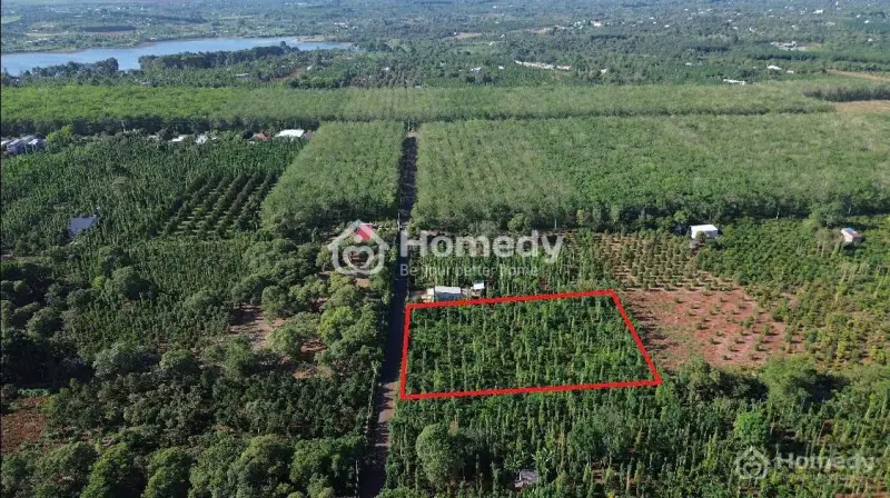 6018563 ảnh đại diện 1