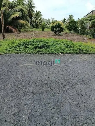 6018398 ảnh đại diện 1