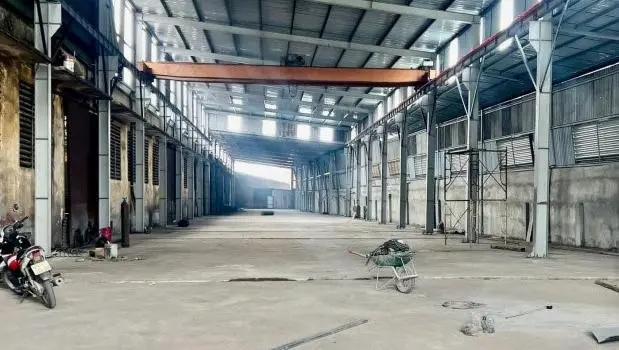 6018191 ảnh đại diện 1