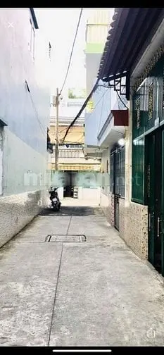 6018503 ảnh đại diện 1