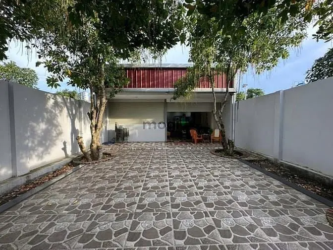 6018190 ảnh đại diện 1