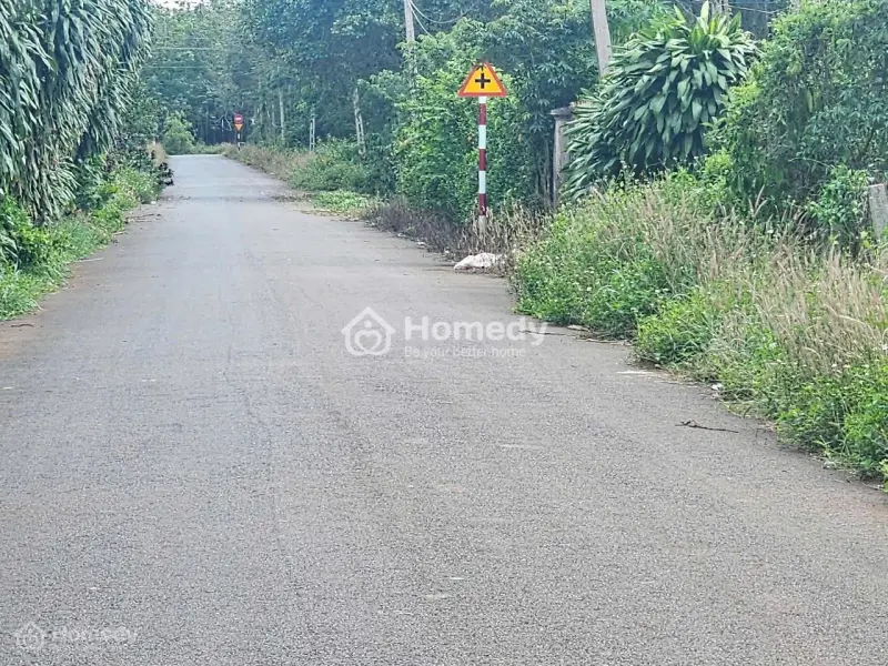 Ngộp Bán Mảnh Đất Đẹp Tâm Huyết , 74X74 , Đường Nhựa, Phủ Hồng, Vườn Cf, Bơ Đẹp