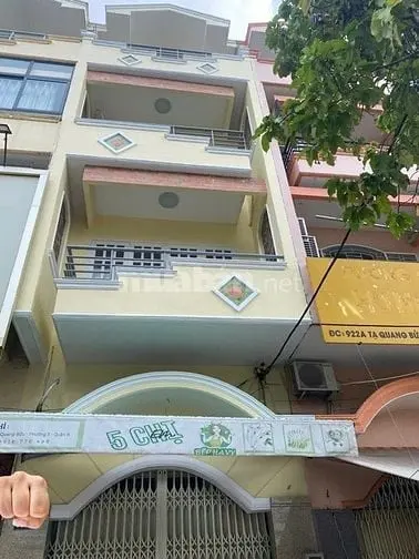 6018419 ảnh đại diện 1