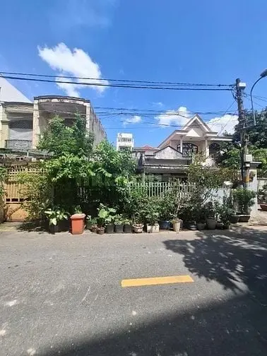 6018134 ảnh đại diện 1