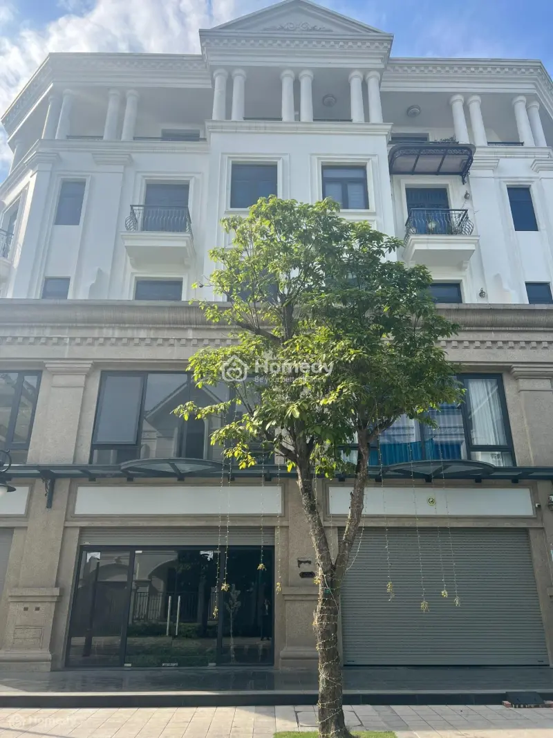 6017963 ảnh đại diện 1