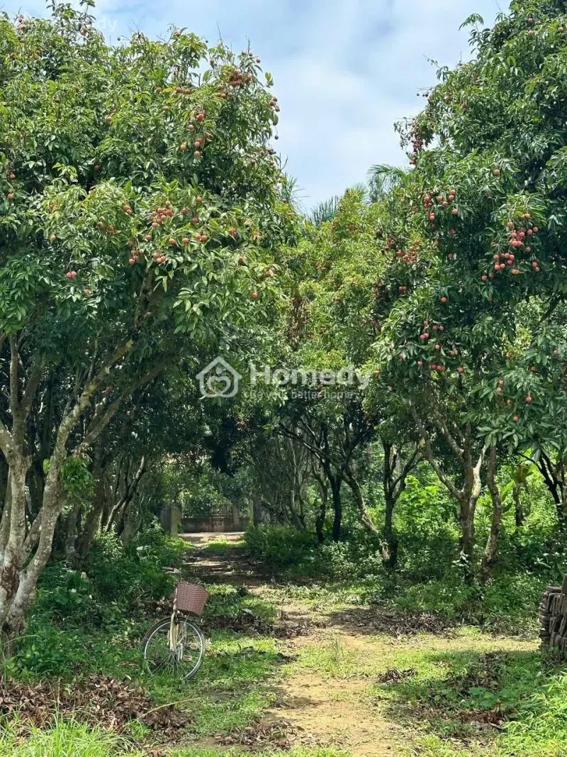 Bán 10000M2 Đất Tỉnh Lộ 30 Xã Ngọc Thanh Có Sổ Để Ở, Làm Trang Trại, Khu Nghỉ Dưỡng, Xưởng Sản Xuất