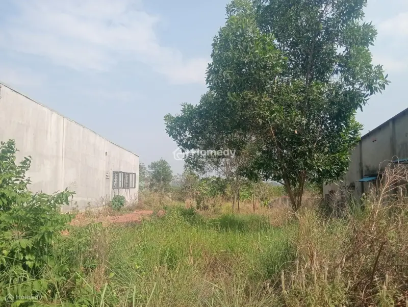 Đất Mặt Tiền Tỉnh Lộ 749A Xã Minh Thạnh Thành Phố Hồ Chí Minh 100M Thổ Cư Buôn Bán,Đầu Tư 395 Triệu