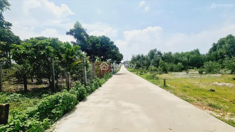 6018706 ảnh đại diện 1