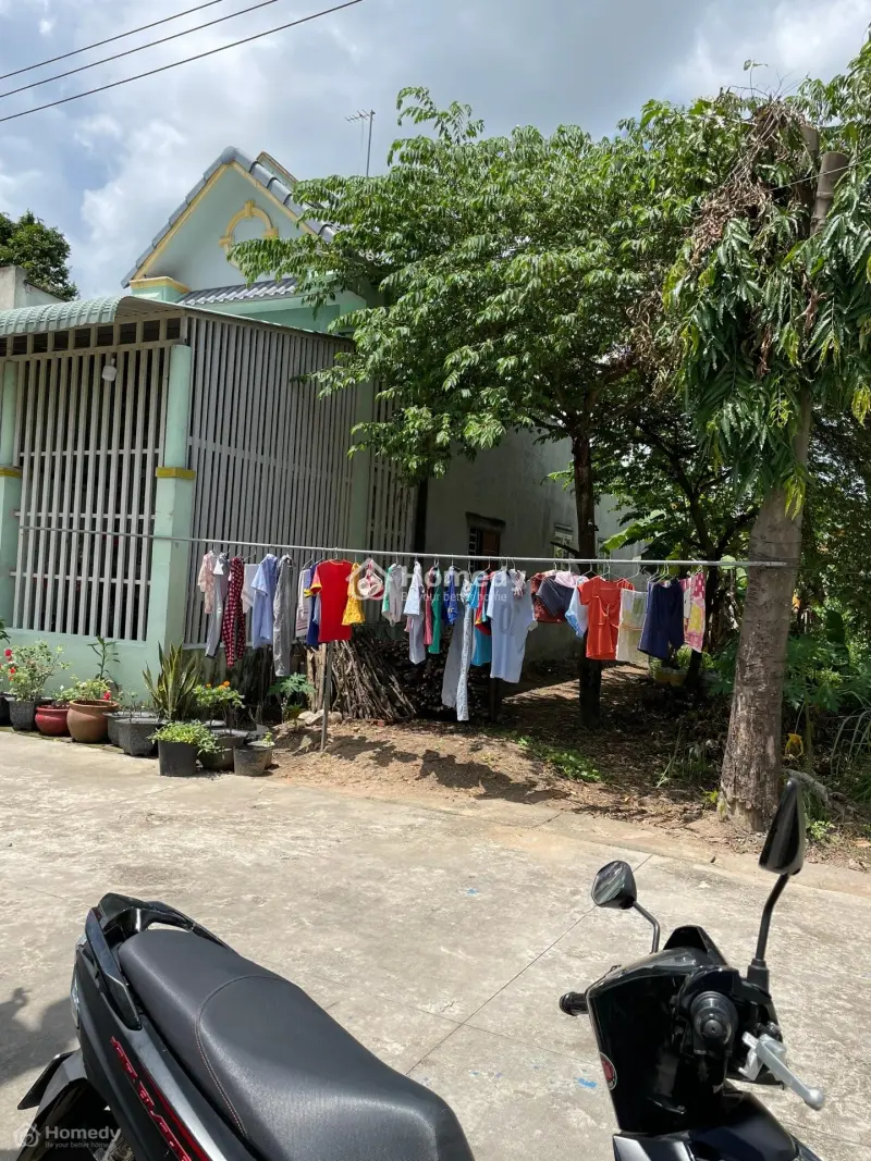 6018293 ảnh đại diện 1