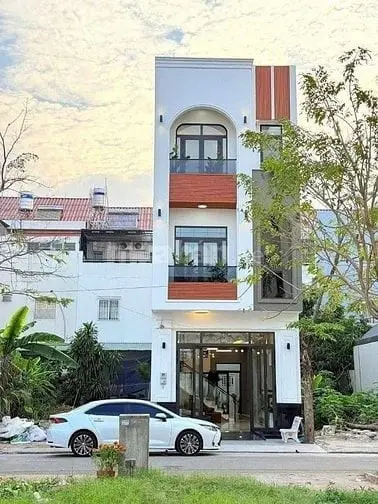 6018261 ảnh đại diện 1