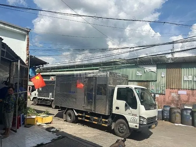 6018393 ảnh đại diện 1