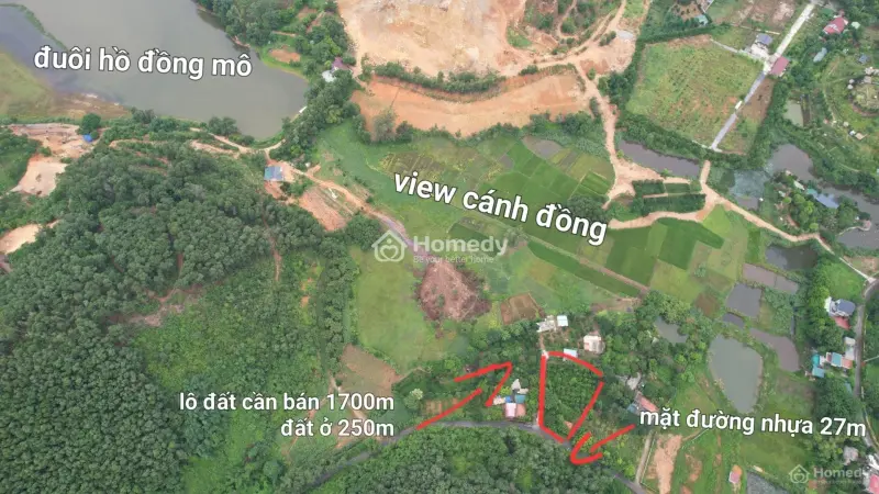 6018001 ảnh đại diện 1