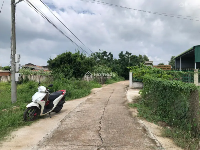 6018476 ảnh đại diện 1