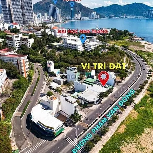 6018095 ảnh đại diện 1