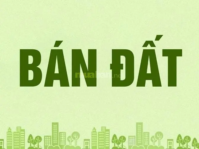6018511 ảnh đại diện 1