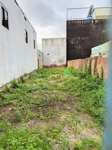 6018160 ảnh đại diện 1
