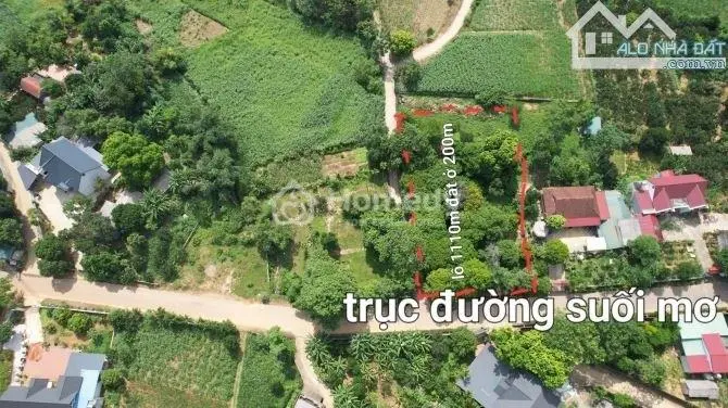6018000 ảnh đại diện 1