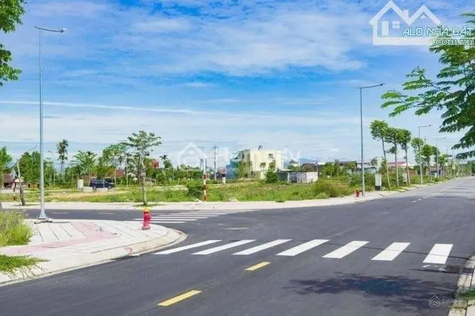6018527 ảnh đại diện 1