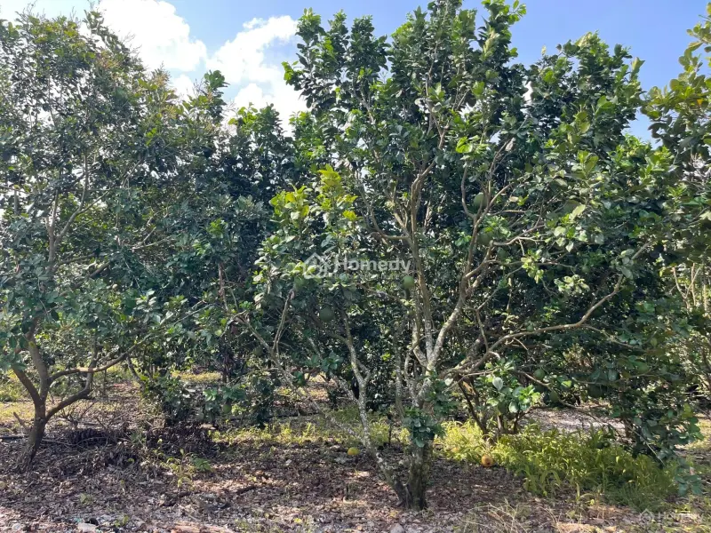 6018378 ảnh đại diện 1