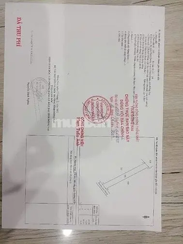 6018366 ảnh đại diện 1