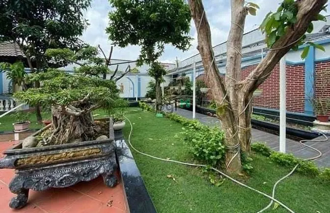 6018660 ảnh đại diện 1