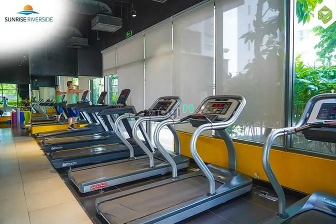 6018648 ảnh đại diện 1