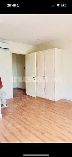 6018641 ảnh đại diện 1