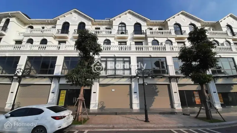 6017974 ảnh đại diện 1
