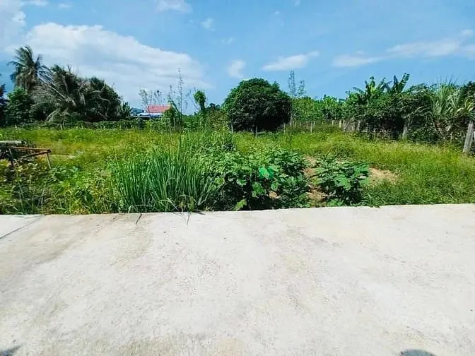 Dl09 Bán Đất Hẻm 3M Thôn Trường Lạc Xã Diên Lạc