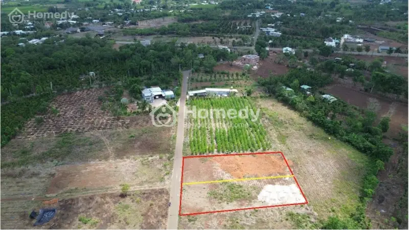 6018562 ảnh đại diện 1