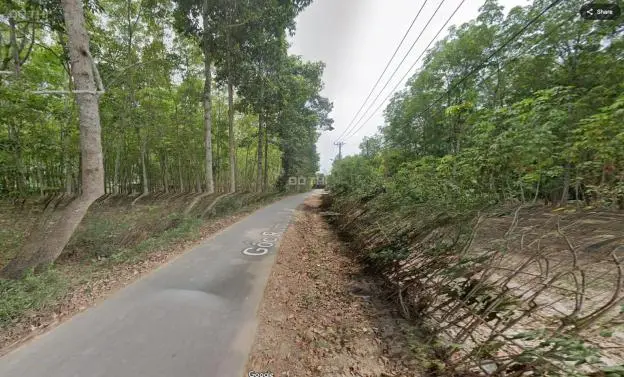 Bán Đất Tại Đường Gốc Rưng, Xã An Nhơn Tây, Củ Chi, Hồ Chí Minh Diện Tích 2024M2 Giá 7.2 Tỷ