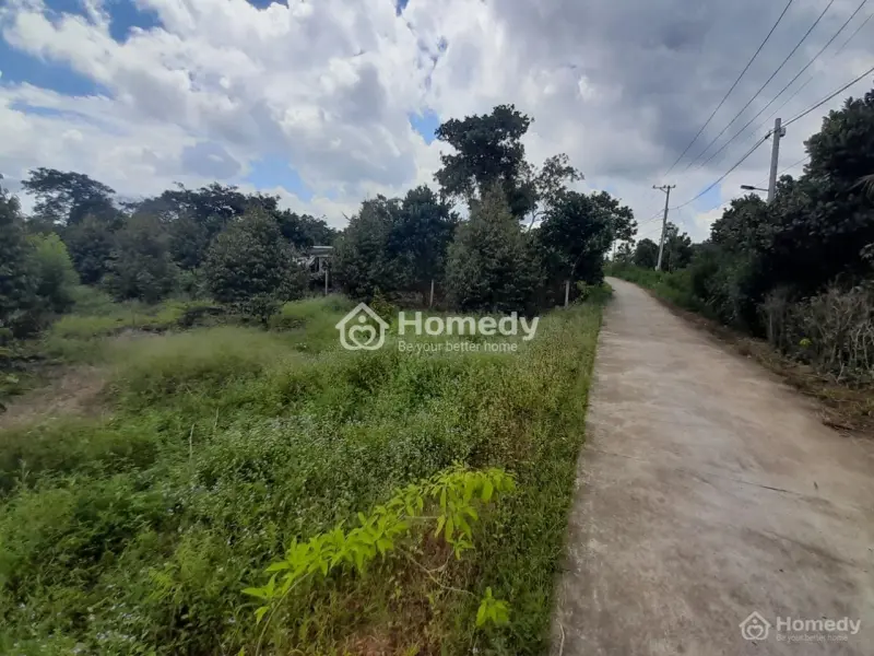 6018380 ảnh đại diện 1