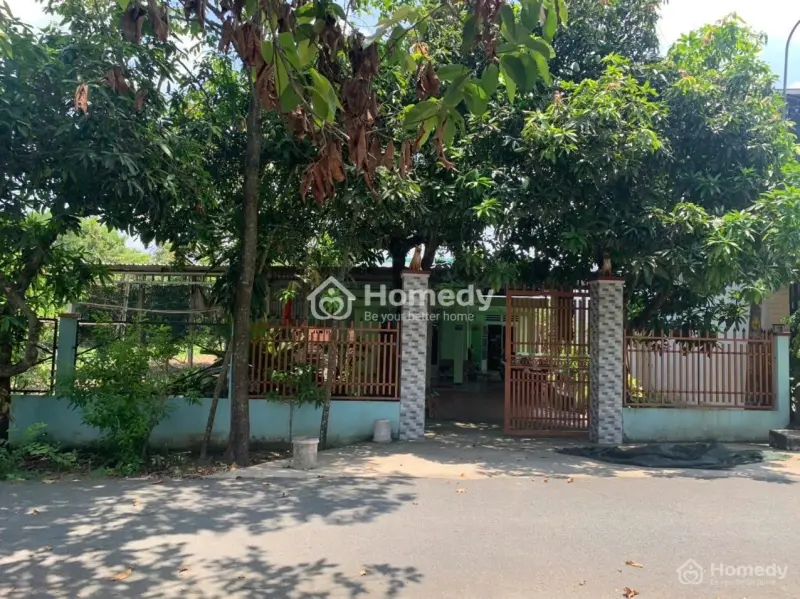 6018525 ảnh đại diện 1
