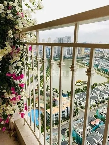 6018469 ảnh đại diện 1