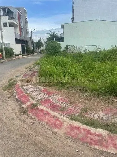6018085 ảnh đại diện 1