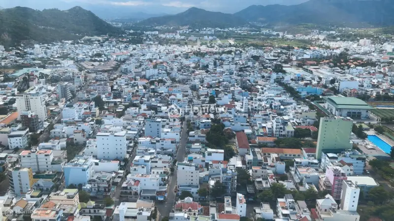 6018152 ảnh đại diện 1