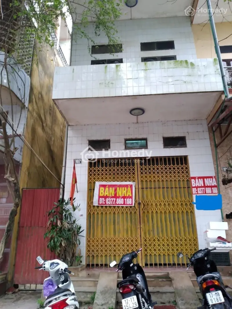 6018198 ảnh đại diện 1