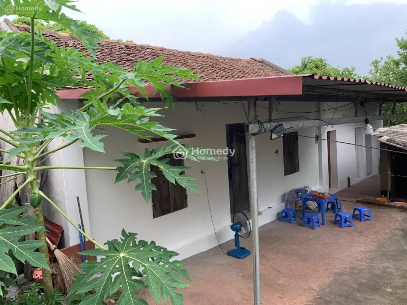 6018109 ảnh đại diện 1
